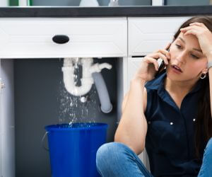 About Emergency plumbing pros Kaunakakai, HI